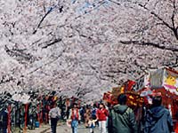 �����R����